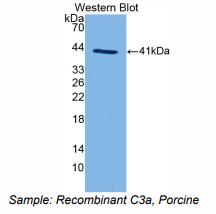 https://msimg.bioon.com/bionline/goods-no-pic.png