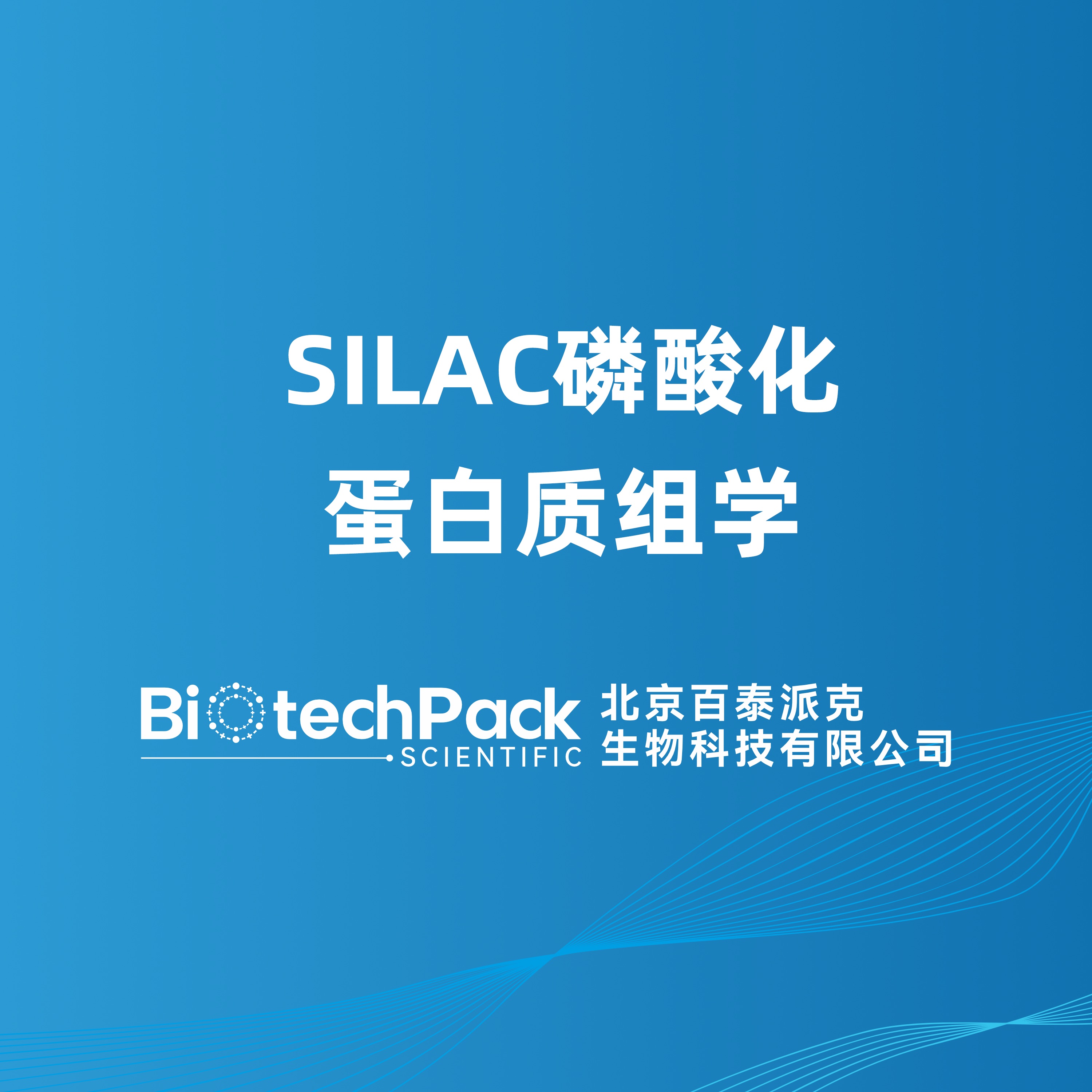 SILAC磷酸化蛋白质组学