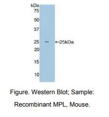 https://msimg.bioon.com/bionline/goods-no-pic.png