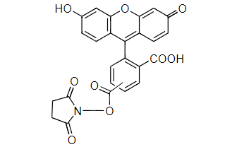 5(6)-FAM, SE 5(6)-羧基荧光素琥珀酰亚胺酯CAS 117548-22-8