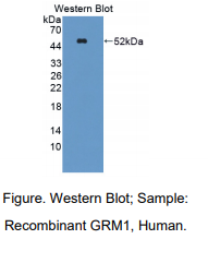 https://msimg.bioon.com/bionline/goods-no-pic.png