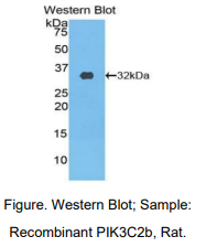 https://msimg.bioon.com/bionline/goods-no-pic.png