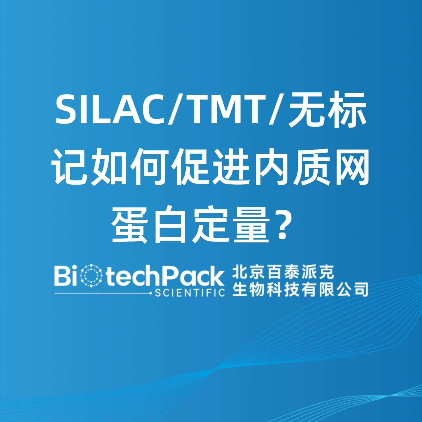 SILAC/TMT/無標記如何促進內質網蛋白定量？