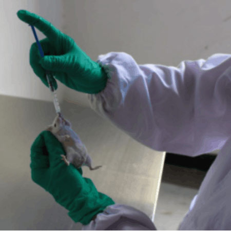 https://msimg.bioon.com/bionline/goods-no-pic.png