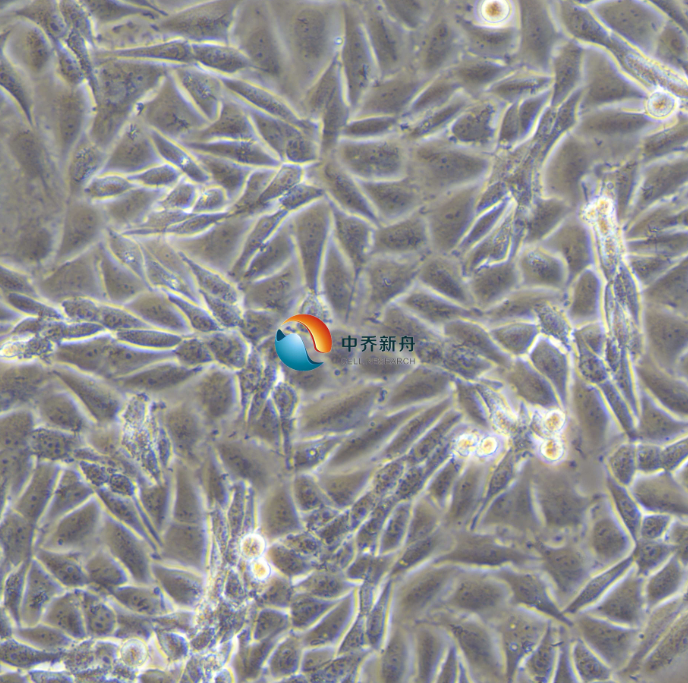 https://img.medsci.cn/8eee53bbc4cb7a98de615e72115896bc4e27fda5cbb764dbd67d9d641c2bb46a.png