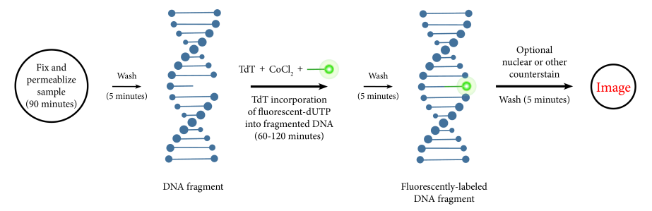 https://img.medsci.cn/e73eefcea40976357f460123cbf1e819c54e5106c9b457225be13b1cbc991aff.png