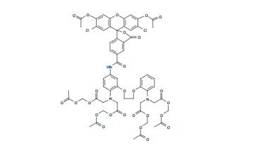 钙离子荧光探针Fluo-4, 五钾盐