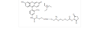 ReadiCleave FITC AML-NHS酯