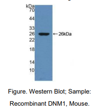 https://msimg.bioon.com/bionline/goods-no-pic.png