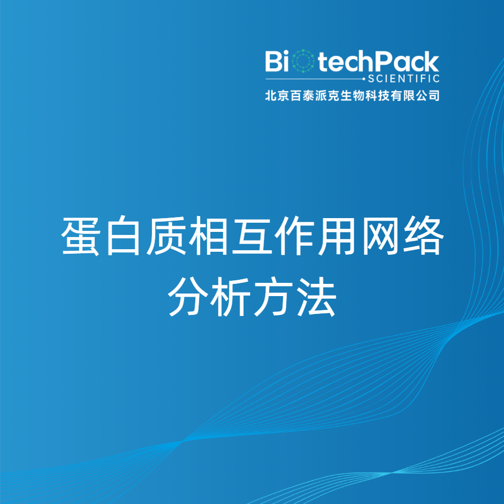 蛋白质相互作用网络分析方法