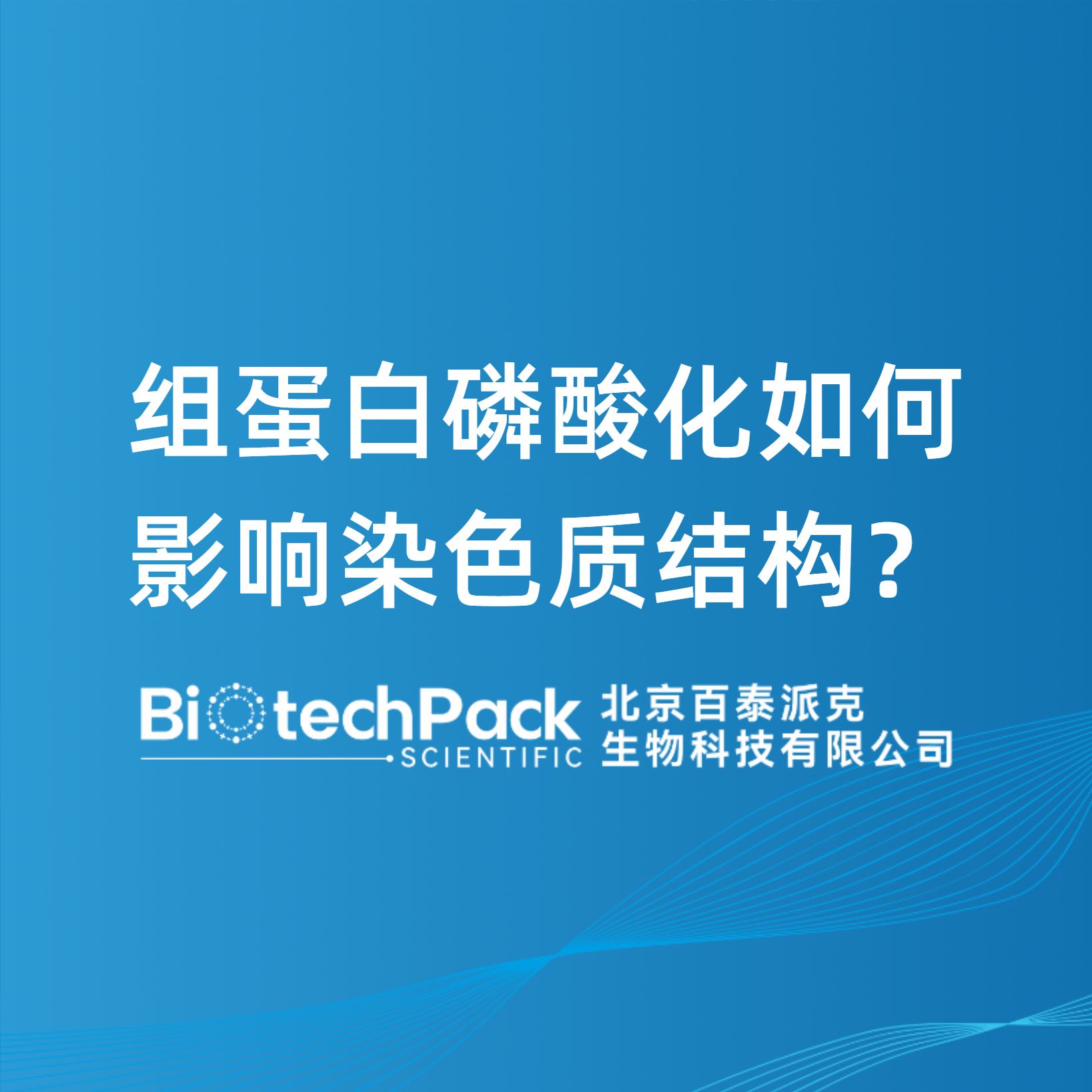 組蛋白磷酸化如何影響染色質結構？