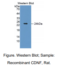 https://msimg.bioon.com/bionline/goods-no-pic.png