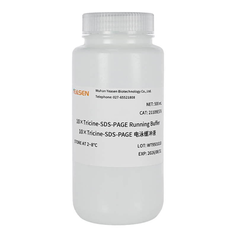 10×Tricine-SDS-PAGE Running Buffer 10×Tricine-SDS-PAGE電泳緩沖液