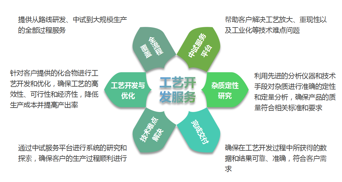 原料药及中间体/提取物工艺开发服务