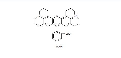 磺酰罗丹明101,钠盐 荧光参照标准 CAS 465544-24-5