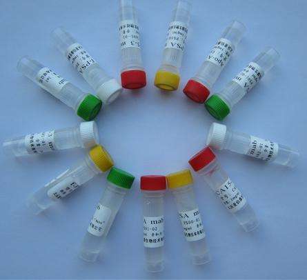 https://img.medsci.cn/9866b9e8190f4daa4b11efa63d94b3857a7e3905b752743149b23ce52139289e.png