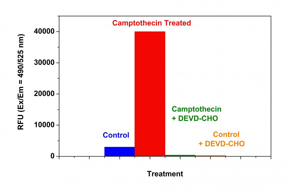 Amplite荧光法Caspase 3/7活性检测试剂盒 *绿色荧光*