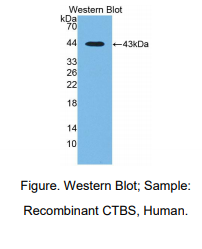 https://msimg.bioon.com/bionline/goods-no-pic.png