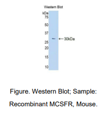 https://msimg.bioon.com/bionline/goods-no-pic.png