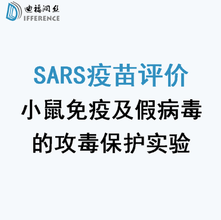 P2级SARS疫苗小鼠免疫及假病毒的攻毒保护评价实验