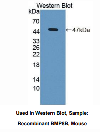 https://msimg.bioon.com/bionline/goods-no-pic.png