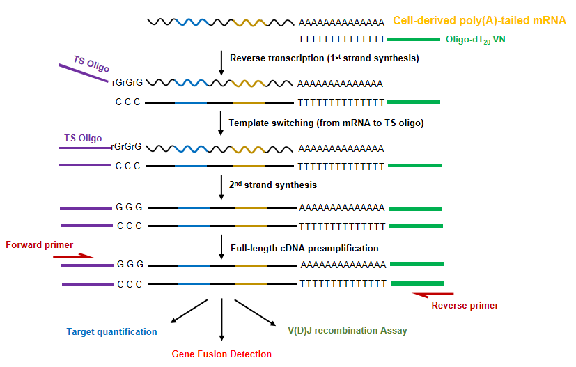 https://img.medsci.cn/09f7f9b396aaea8c5a2398de56f920980d508f8e7313325b130eae0a6c633bd4.png