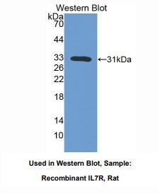 https://msimg.bioon.com/bionline/goods-no-pic.png