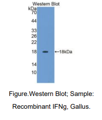 https://msimg.bioon.com/bionline/goods-no-pic.png