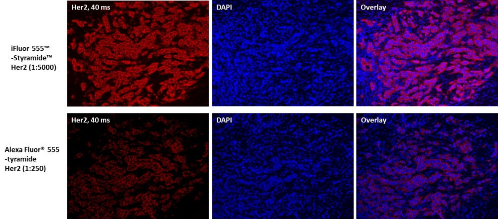 https://img.medsci.cn/e73eefcea40976357f460123cbf1e819c54e5106c9b457225be13b1cbc991aff.png