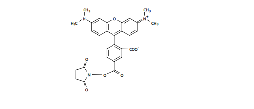 5-TAMRA, SE 5-羧基四甲基罗丹明琥珀酰亚胺酯 CAS 150810-68-7