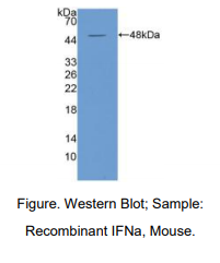 https://msimg.bioon.com/bionline/goods-no-pic.png