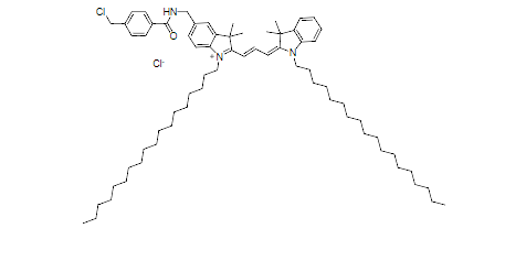 荧光素二辛酸盐WS1