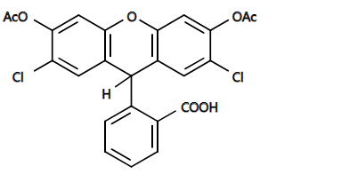 5-FAM 5-羧基荧光素 CAS 76823-03-5