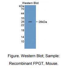 https://msimg.bioon.com/bionline/goods-no-pic.png