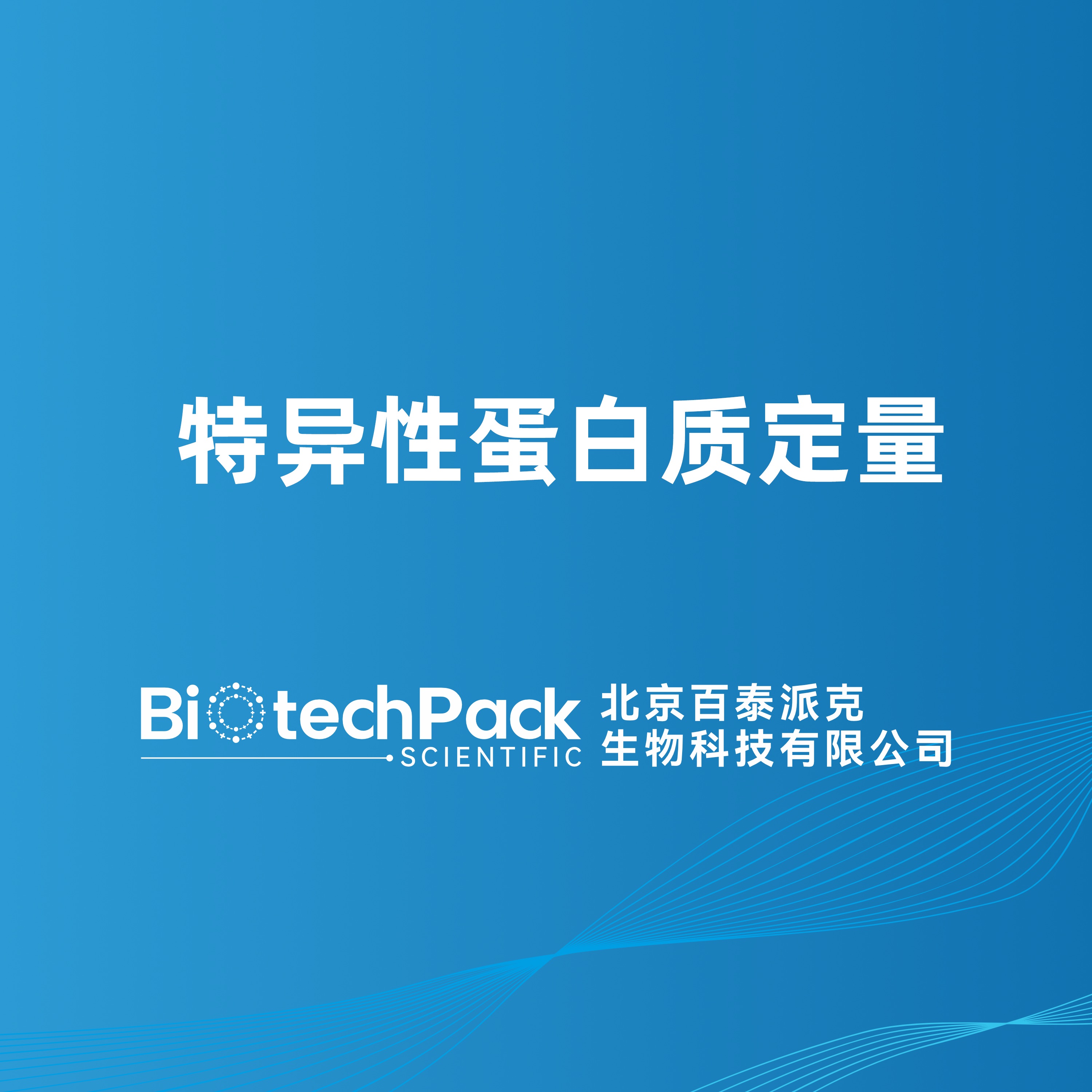 特异性蛋白质定量