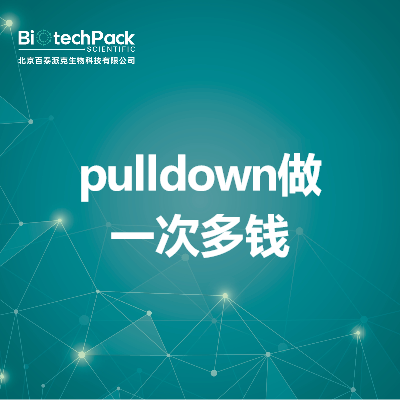 pulldown做一次多钱
