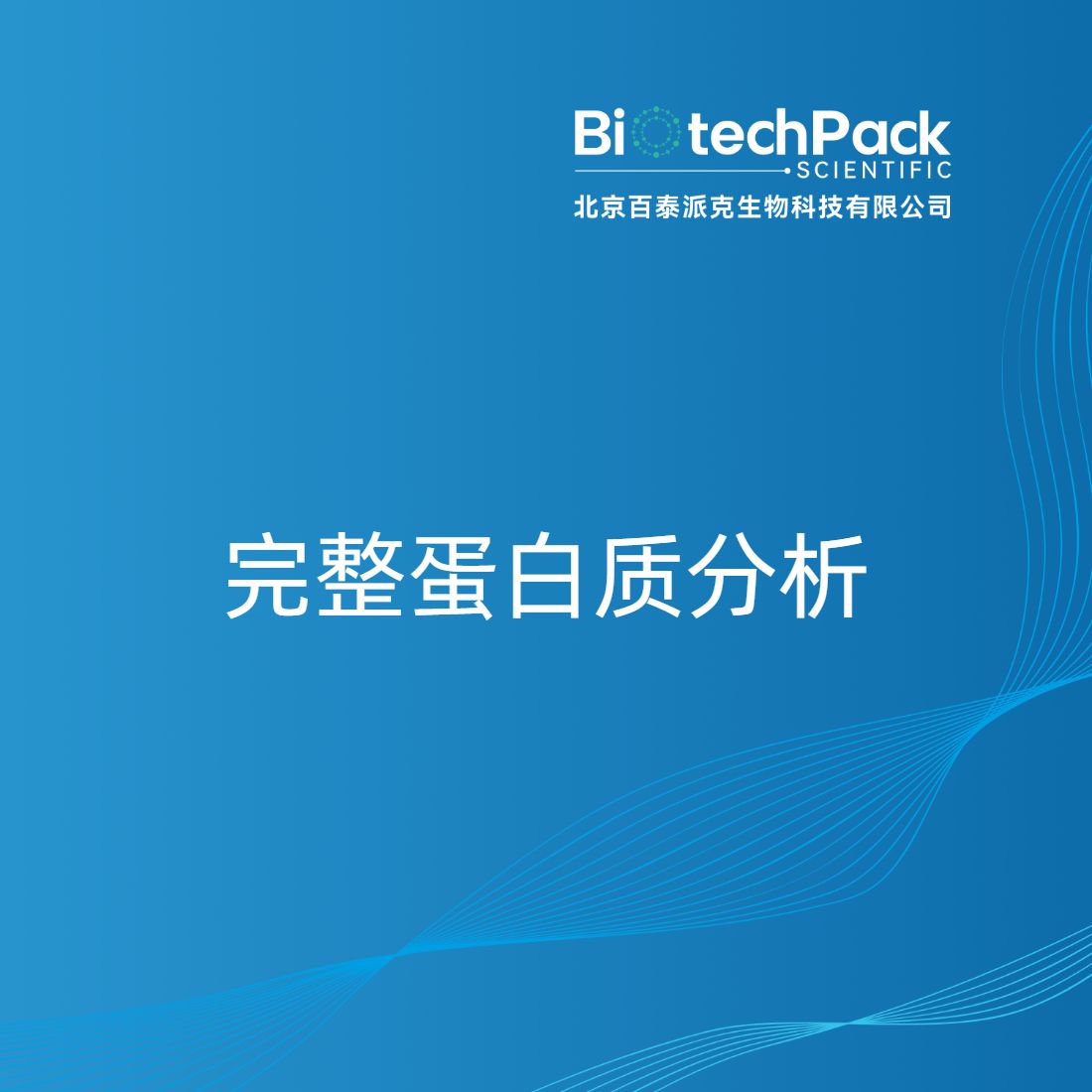 完整蛋白质分析