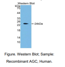 https://msimg.bioon.com/bionline/goods-no-pic.png