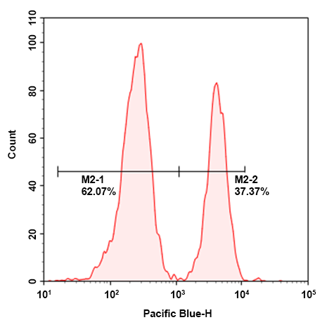 https://img.medsci.cn/e73eefcea40976357f460123cbf1e819c54e5106c9b457225be13b1cbc991aff.png