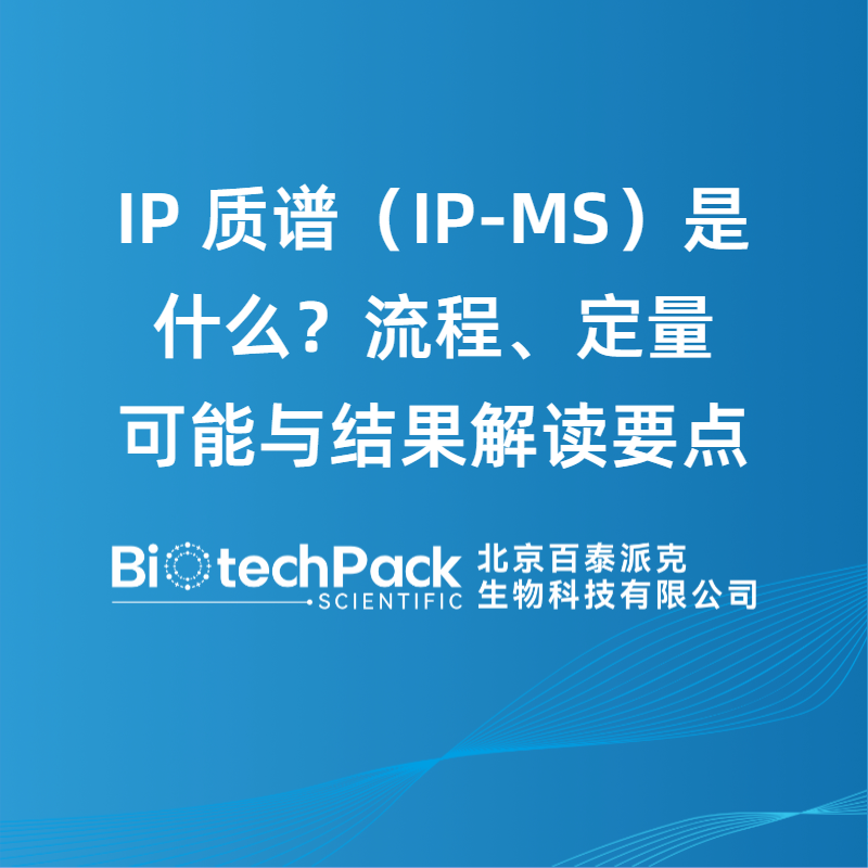 IP 质谱（IP-MS）是什么？流程、定量可能与结果解读要点