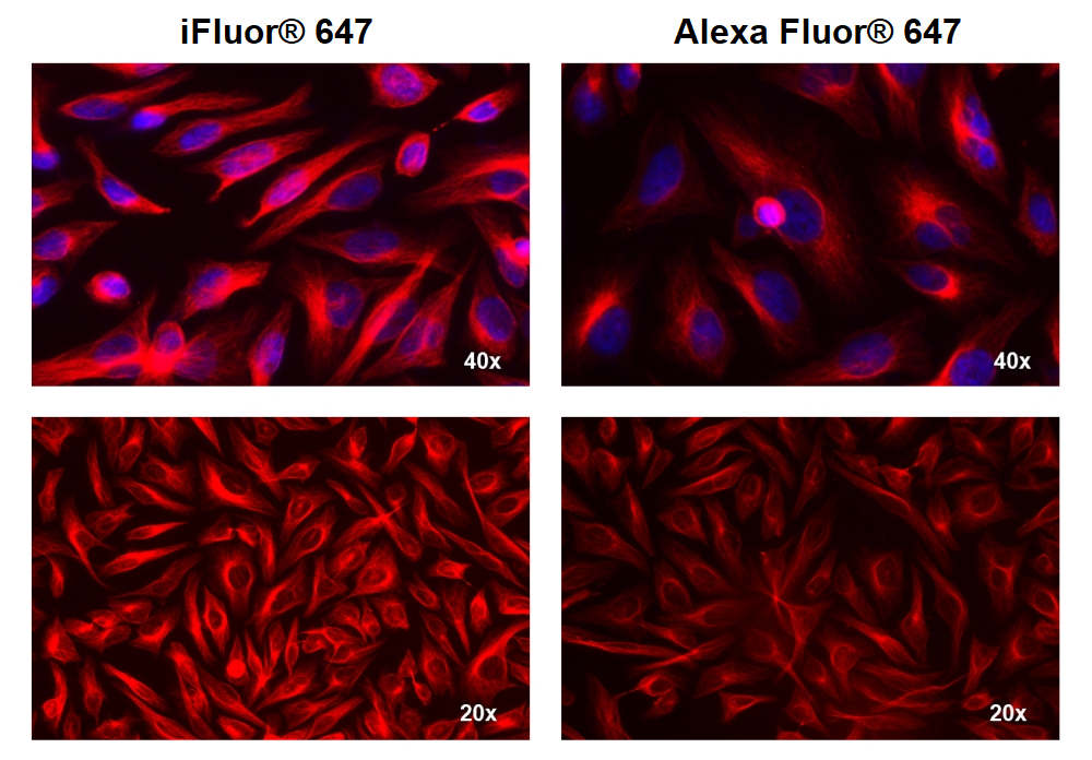 https://img.medsci.cn/e73eefcea40976357f460123cbf1e819c54e5106c9b457225be13b1cbc991aff.png