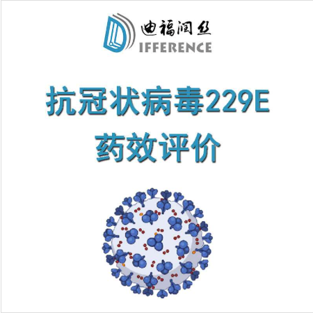 冠状病毒229E体外细胞水平药效评价 EC50测定