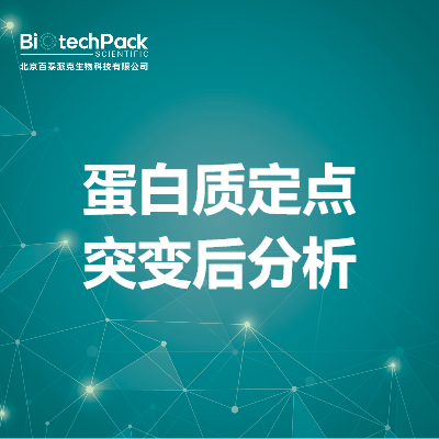 蛋白质定点突变后分析