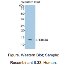 https://msimg.bioon.com/bionline/goods-no-pic.png