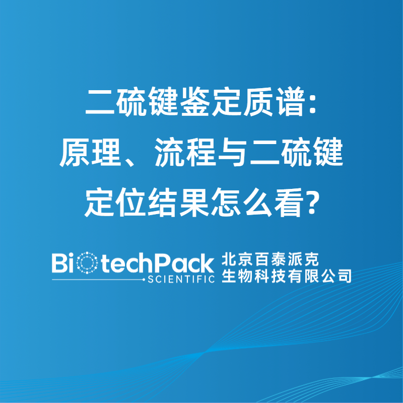 二硫键鉴定质谱:原理、流程与二硫键定位结果怎么看?