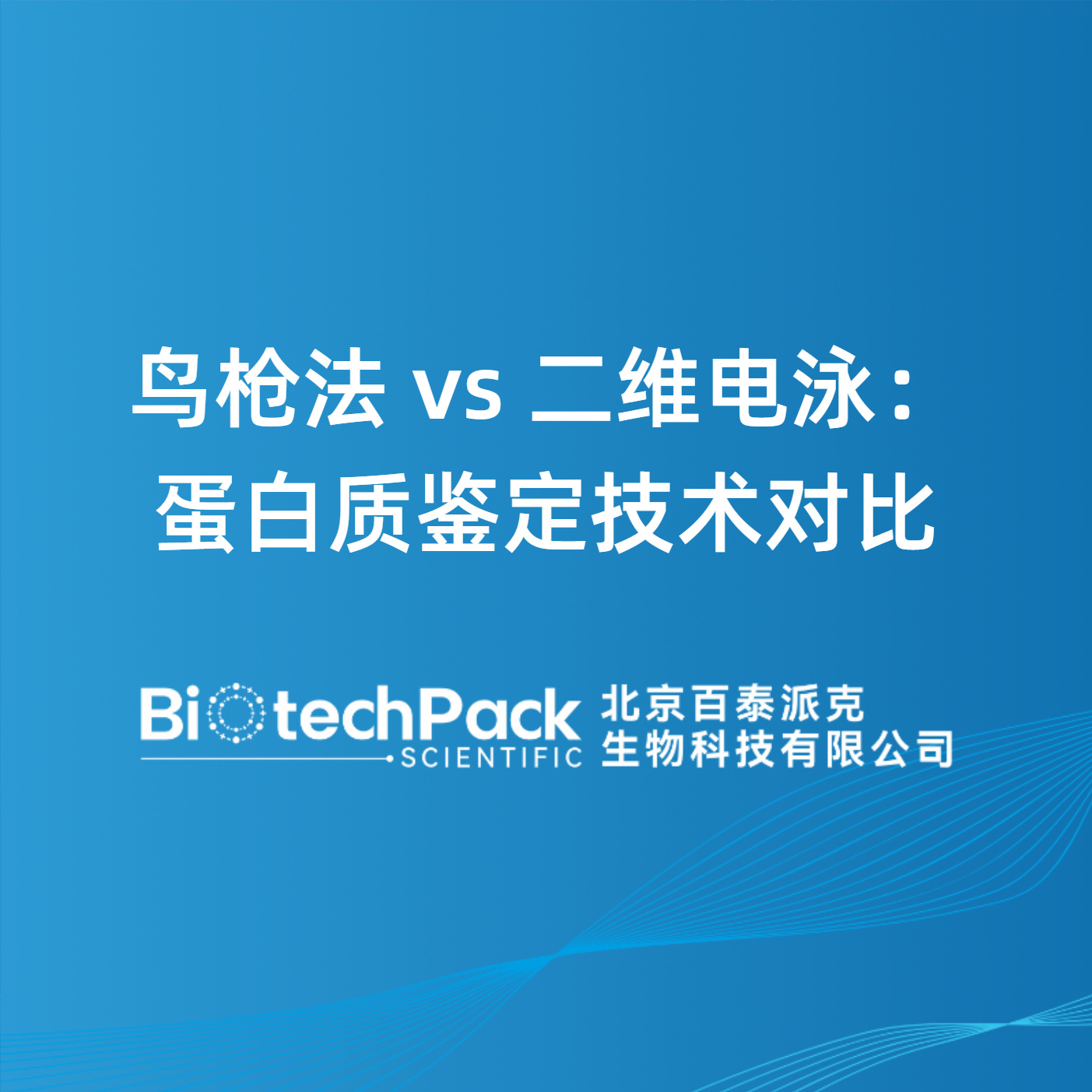 鸟枪法 vs 二维电泳：蛋白质鉴定技术对比