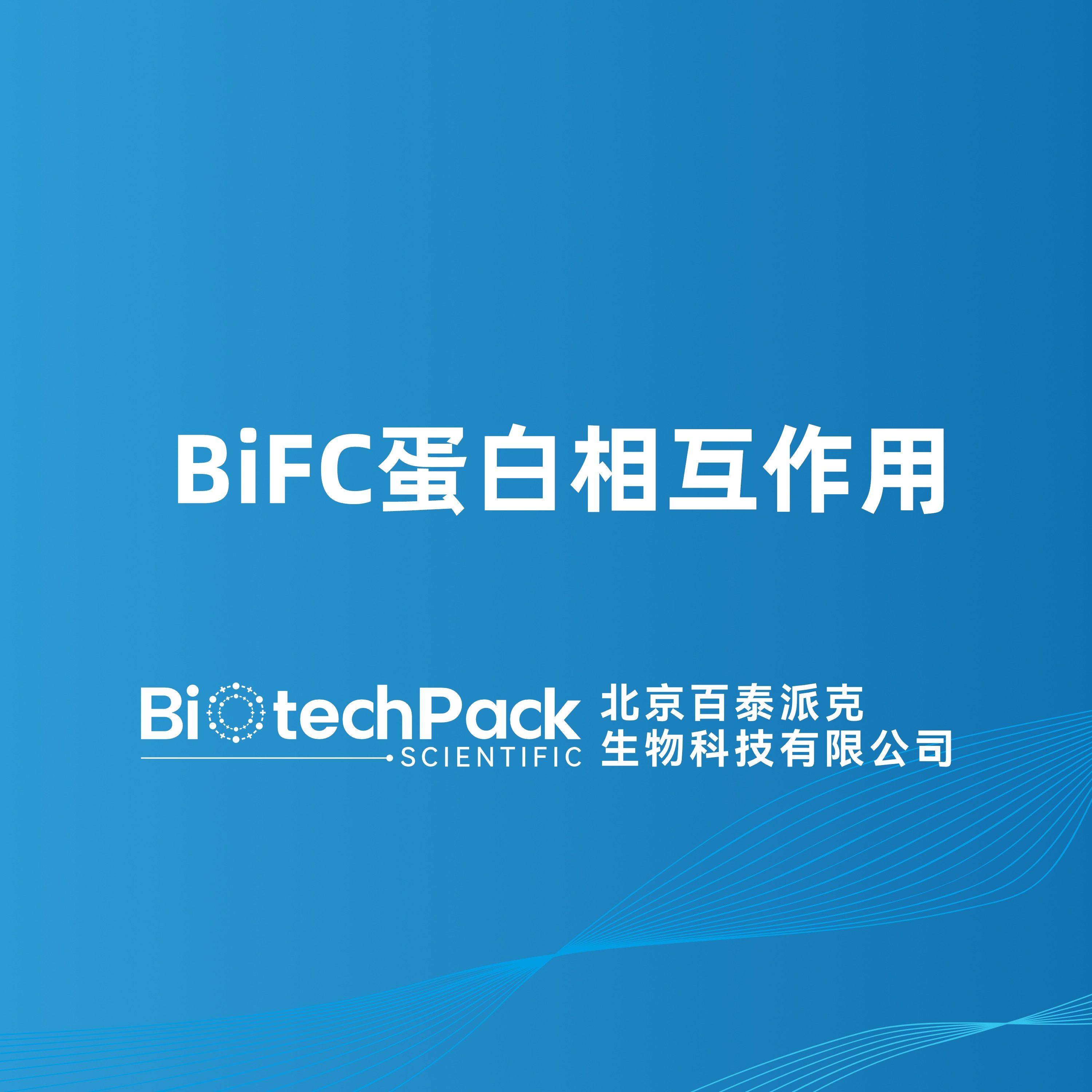 BiFC 蛋白相互作用