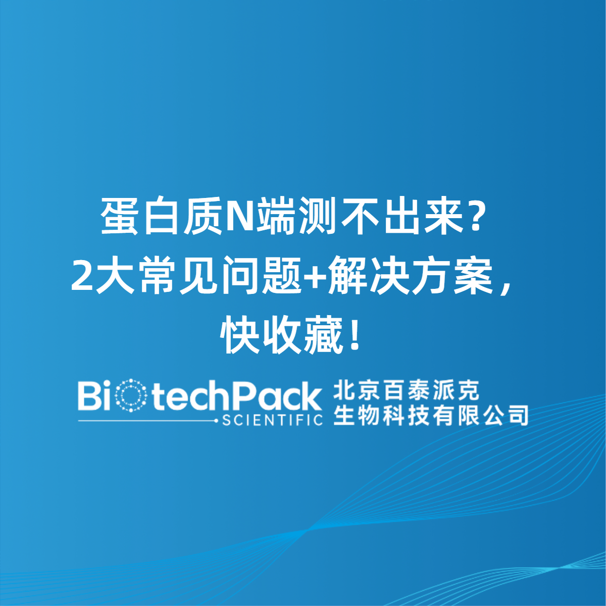 蛋白质N端测不出来？2大常见问题+解决方案，快收藏！