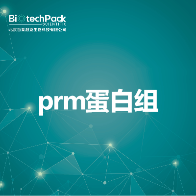 prm蛋白组