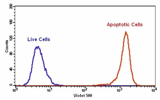 Cell Meter磷脂酰丝氨酸细胞凋亡检测试剂盒 
